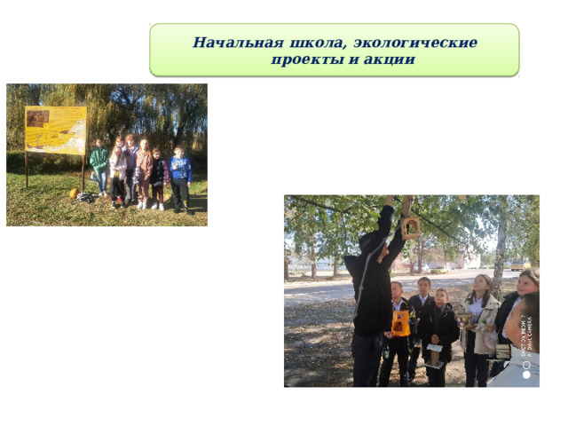 Начальная школа, экологические проекты и акции 2 