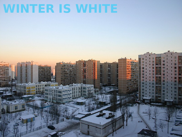 WINTER IS WHITE 