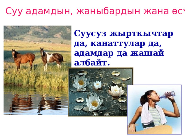 Суу адамдын, жаныбардын жана ɵсʏмдʏктʏн жашоосунда Суусуз жырткычтар да, канаттулар да, адамдар да жашай албайт. 