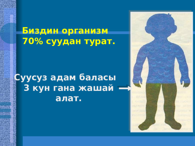 Биздин организм 70% суудан турат.  Суусуз адам баласы 3 кун гана жашай алат. 