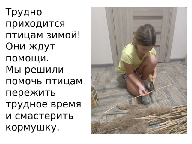 Трудно приходится птицам зимой!  Они ждут помощи.  Мы решили помочь птицам пережить трудное время и смастерить кормушку. 