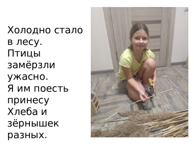 Холодно стало в лесу.  Птицы замёрзли ужасно.  Я им поесть принесу  Хлеба и зёрнышек разных. 