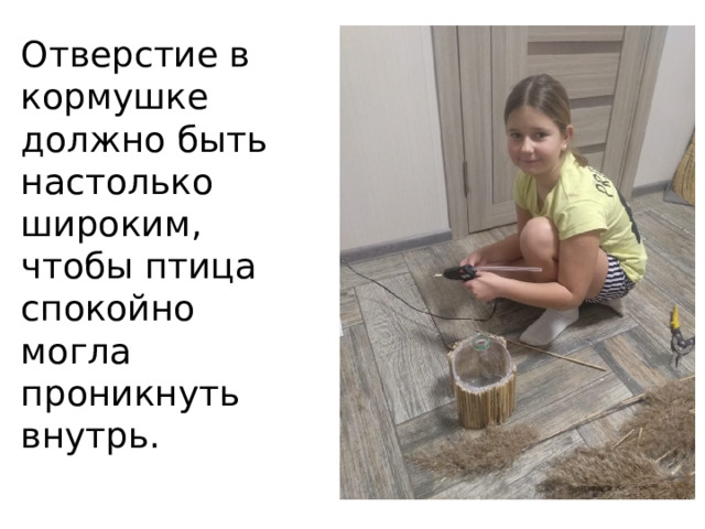 Отверстие в кормушке должно быть настолько широким, чтобы птица спокойно могла проникнуть внутрь.   