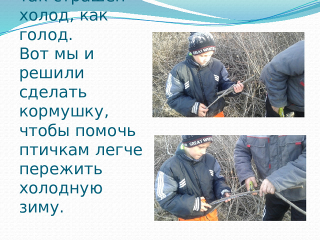 Зимой птичкам не так страшен холод, как голод.  Вот мы и решили сделать кормушку, чтобы помочь птичкам легче пережить холодную зиму. 