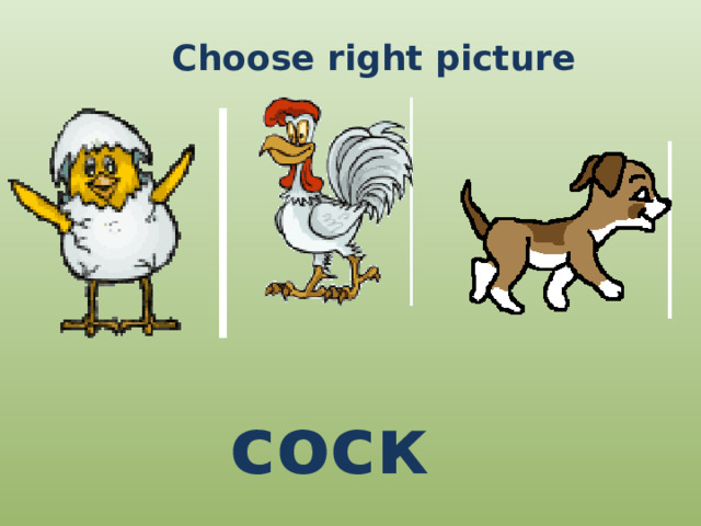 Choose right picture соск 