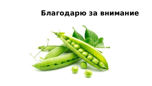  Благодарю за внимание 