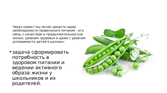 Ч ерез проект мы хотим донести идею необходимости правильного питания - его связь с качеством и продолжительностью жизни, уровнем здоровья и даже с уровнем успеваемости детей в школах» задача сформировать потребность в здоровом питании и ведении активного образа жизни у школьников и их родителей. 