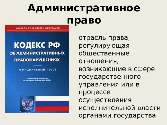 Административное право отрасль права, регулирующая общественные отношения, возникающие в сфере государственного управления или в процессе осуществления исполнительной власти органами государства 