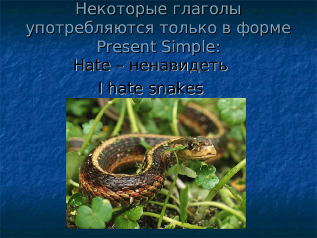 Некоторые глаголы употребляются только в форме Present Simple :   Hate – ненавидеть I hate snakes 