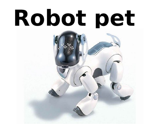 Robot pet 