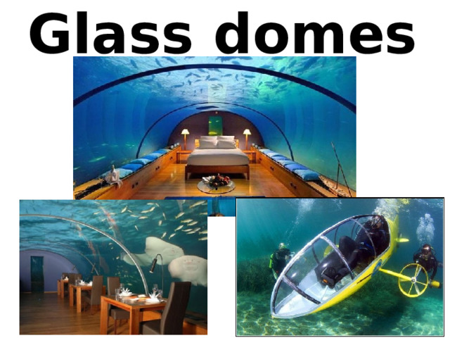 Glass domes 