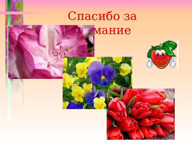 Спасибо за внимание 