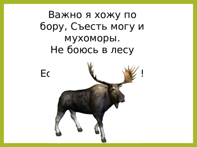Важно я хожу по бору, Съесть могу и мухоморы. Не боюсь в лесу врага- Есть копыта и рога! 