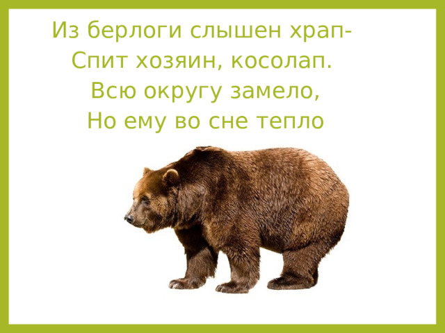 Из берлоги слышен храп- Спит хозяин, косолап.  Всю округу замело,  Но ему во сне тепло 
