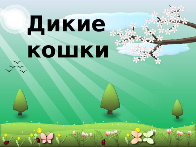 Дикие кошки 2 