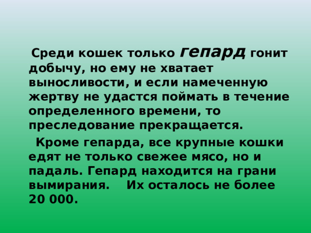  Среди кошек только гепард гонит добычу, но ему не хватает выносливости, и если намеченную жертву не удастся поймать в течение определенного времени, то преследование прекращается.  Кроме гепарда, все крупные кошки едят не только свежее мясо, но и падаль. Гепард находится на грани вымирания. Их осталось не более 20 000. 