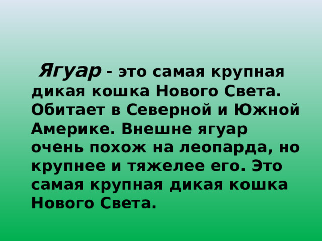  Ягуар - это самая крупная дикая кошка Нового Света. Обитает в Северной и Южной Америке. Внешне ягуар очень похож на леопарда, но крупнее и тяжелее его. Это самая крупная дикая кошка Нового Света. 