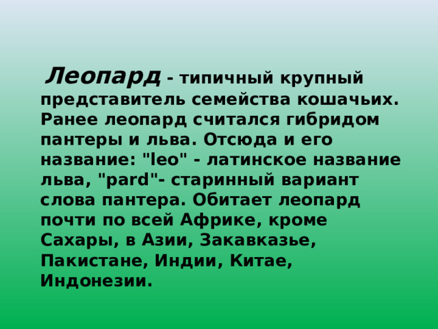 Леопард - типичный крупный представитель семейства кошачьих. Ранее леопард считался гибридом пантеры и льва. Отсюда и его название: 