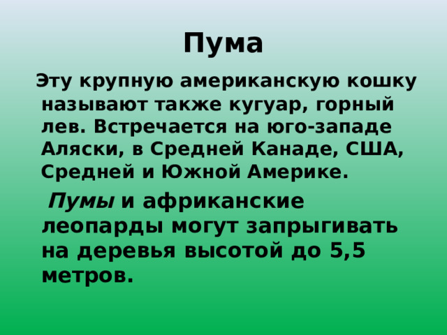 Пума  Эту крупную американскую кошку называют также кугуар, горный лев. Встречается на юго-западе Аляски, в Средней Канаде, США, Средней и Южной Америке.  Пумы и африканские леопарды могут запрыгивать на деревья высотой до 5,5 метров. 