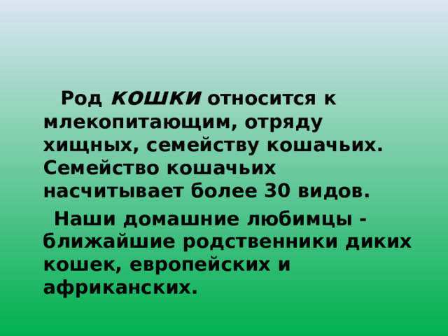  Род кошки относится к млекопитающим, отряду хищных, семейству кошачьих.  Семейство кошачьих насчитывает более 30 видов.  Наши домашние любимцы - ближайшие родственники диких кошек, европейских и африканских. 