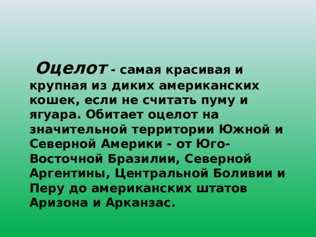  Оцелот - самая красивая и крупная из диких американских кошек, если не считать пуму и ягуара. Обитает оцелот на значительной территории Южной и Северной Америки - от Юго-Восточной Бразилии, Северной Аргентины, Центральной Боливии и Перу до американских штатов Аризона и Арканзас. 