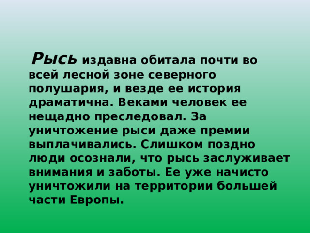  Рысь издавна обитала почти во всей лесной зоне северного полушария, и везде ее история драматична. Веками человек ее нещадно преследовал. За уничтожение рыси даже премии выплачивались. Слишком поздно люди осознали, что рысь заслуживает внимания и заботы. Ее уже начисто уничтожили на территории большей части Европы. 