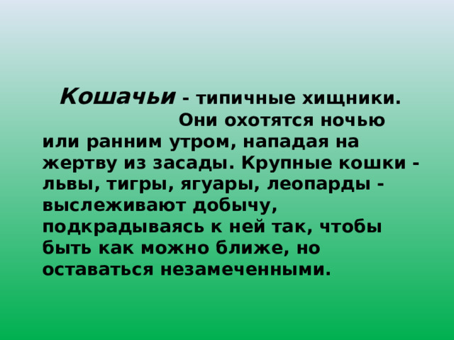   Кошачьи - типичные хищники. Они охотятся ночью или ранним утром, нападая на жертву из засады. Крупные кошки - львы, тигры, ягуары, леопарды - выслеживают добычу, подкрадываясь к ней так, чтобы быть как можно ближе, но оставаться незамеченными.   