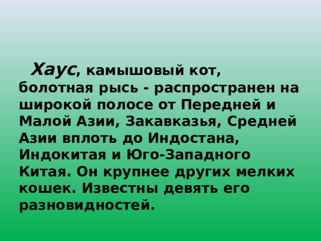  Хаус , камышовый кот, болотная рысь - распространен на широкой полосе от Передней и Малой Азии, Закавказья, Средней Азии вплоть до Индостана, Индокитая и Юго-Западного Китая. Он крупнее других мелких кошек. Известны девять его разновидностей. 