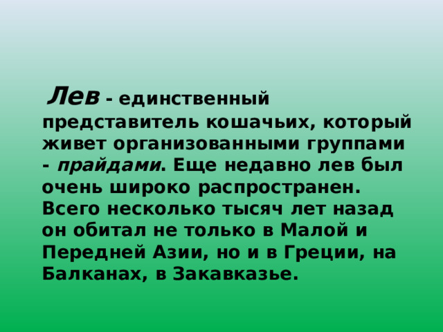  Лев - единственный представитель кошачьих, который живет организованными группами - прайдами .  Еще недавно лев был очень широко распространен. Всего несколько тысяч лет назад он обитал не только в Малой и Передней Азии, но и в Греции, на Балканах, в Закавказье. 