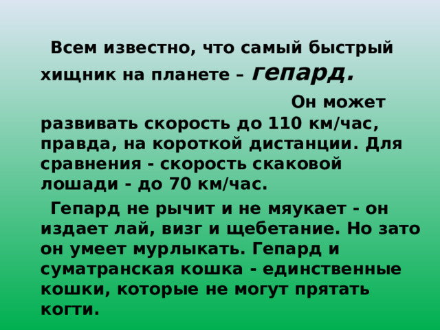  Всем известно, что самый быстрый хищник на планете – гепард. Он может развивать скорость до 110 км/час, правда, на короткой дистанции. Для сравнения - скорость скаковой лошади - до 70 км/час.  Гепард не рычит и не мяукает - он издает лай, визг и щебетание. Но зато он умеет мурлыкать. Гепард и суматранская кошка - единственные кошки, которые не могут прятать когти. 