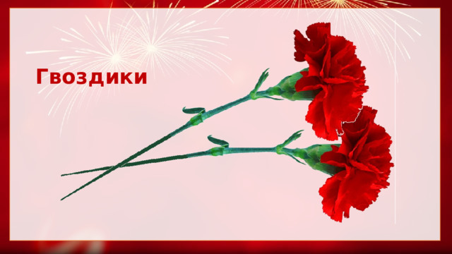 Гвоздики 