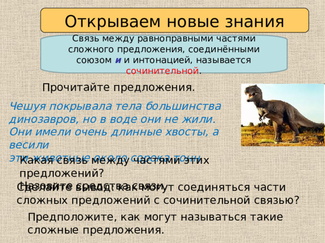 Открываем новые знания Связь между равноправными частями сложного предложения, соединёнными союзом и и интонацией, называется сочинительной . Прочитайте предложения. Чешуя покрывала тела большинства динозавров, но в воде они не жили. Они имели очень длинные хвосты, а весили эти животные около сорока тонн. Какая связь между частями этих предложений? Назовите средства связи. Сделайте вывод: как могут соединяться части сложных предложений с сочинительной связью? Предположите, как могут называться такие сложные предложения. 