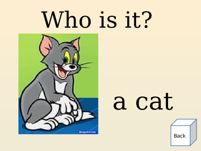 Who is it? a cat Back 