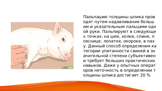 Пальпацию толщины шпика проводят путем надавливания большим и указательным пальцами одной руки. Пальпируют в следующих точках: на шее, холке, спине, пояснице, лопатке, окороке, в паху. Данный способ определения категории упитанности свиней в значительной степени субъективен и требует больших практических навыков. Даже у опытных операторов неточность в определении толщины шпика достигает 20 % 