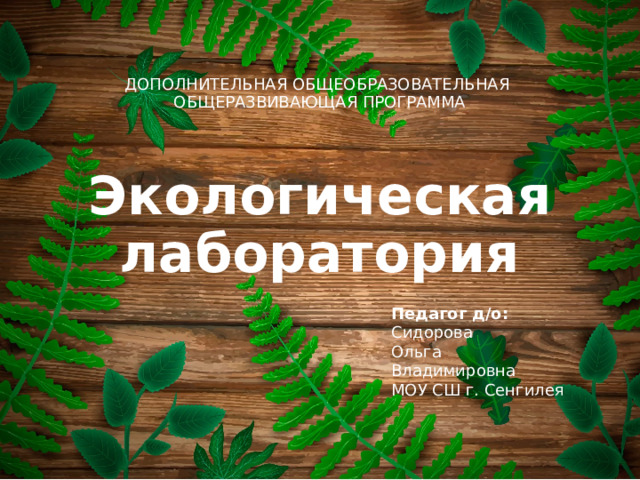 ДОПОЛНИТЕЛЬНАЯ ОБЩЕОБРАЗОВАТЕЛЬНАЯ ОБЩЕРАЗВИВАЮЩАЯ ПРОГРАММА   Экологическая лаборатория Педагог д/о: Сидорова Ольга Владимировна МОУ СШ г. Сенгилея 