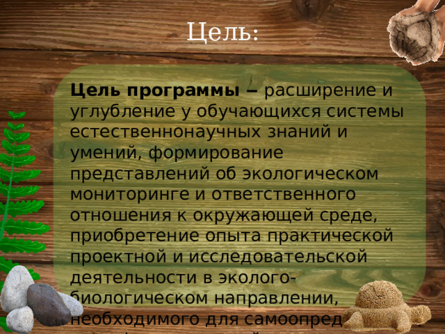 Цель: Цель программы ‒ расширение и углубление у обучающихся системы естественнонаучных знаний и умений, формирование представлений об экологическом мониторинге и ответственного отношения к окружающей среде, приобретение опыта практической проектной и исследовательской деятельности в эколого-биологическом направлении, необходимого для самоопределения и профессиональной ориентации. 