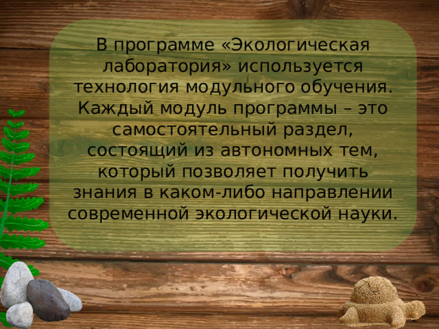 В программе «Экологическая лаборатория» используется технология модульного обучения. Каждый модуль программы – это самостоятельный раздел, состоящий из автономных тем, который позволяет получить знания в каком-либо направлении современной экологической науки. 