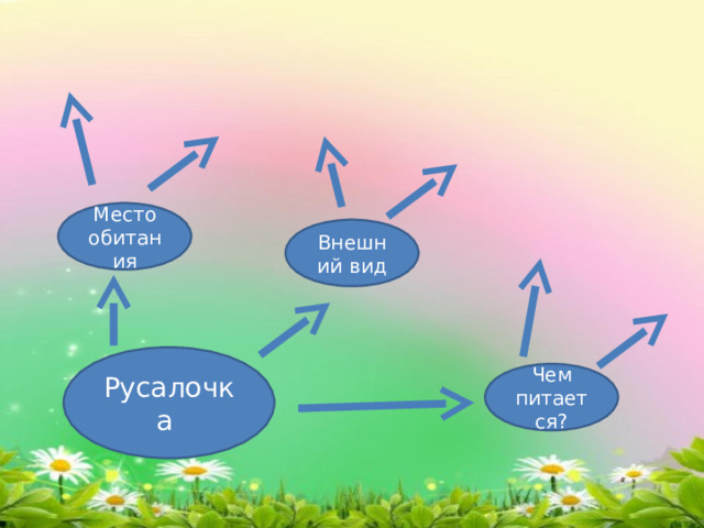 Место обитания Внешний вид Русалочка Чем питается? 