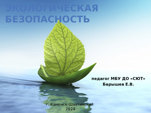 Экологическая безопасность педагог МБУ ДО «СЮТ» Барышев Е.В. г. Каменск-Шахтинский 2024 