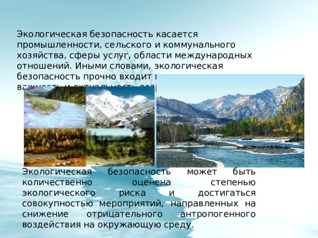 Экологическая безопасность касается промышленности, сельского и коммунального хозяйства, сферы услуг, области международных отношений. Иными словами, экологическая безопасность прочно входит в нашу жизнь, и ее важность и актуальность возрастает год от года. Экологическая безопасность может быть количественно оценена степенью экологического риска и достигаться совокупностью мероприятий, направленных на снижение отрицательного антропогенного воздействия на окружающую среду. 