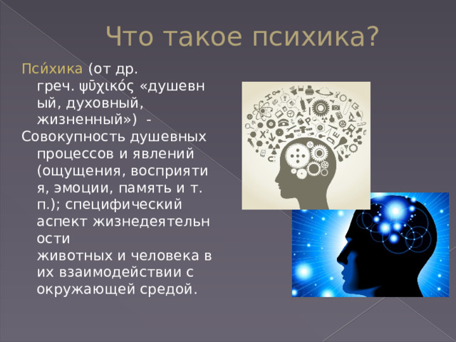 Что такое психика? Пси́хика  (от др. греч. ψῡχικός «душевный, духовный, жизненный»)  - Совокупность душевных процессов и явлений (ощущения, восприятия, эмоции, память и т. п.); специфический аспект жизнедеятельности животных и человека в их взаимодействии с окружающей средой. 