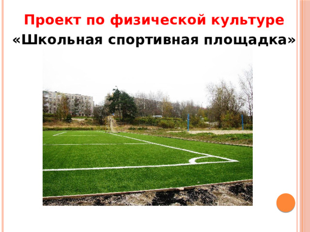 Проект по физической культуре «Школьная спортивная площадка» 