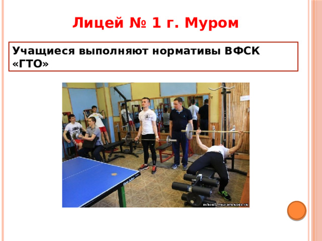 Лицей № 1 г. Муром Учащиеся выполняют нормативы ВФСК «ГТО» 