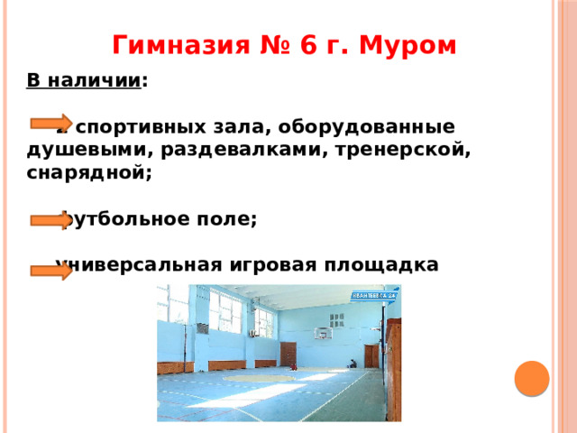 Гимназия № 6 г. Муром В наличии :   2 спортивных зала, оборудованные душевыми, раздевалками, тренерской, снарядной;   футбольное поле;   универсальная игровая площадка 