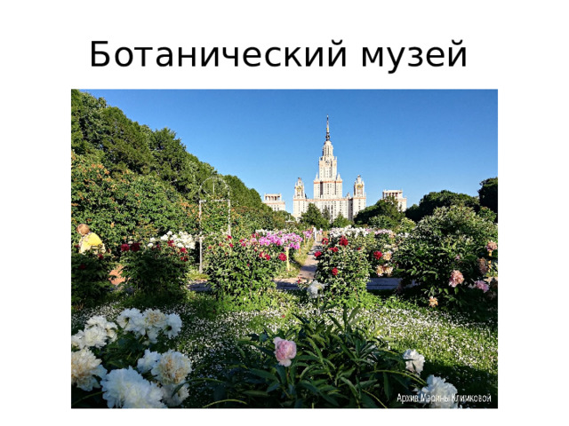 Ботанический музей 