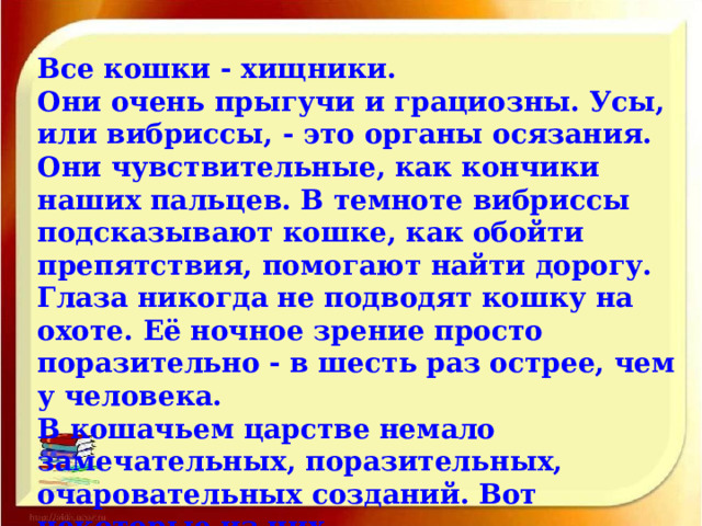 Все кошки - хищники.   Они очень прыгучи и грациозны. Усы, или вибриссы, - это органы осязания. Они чувствительные, как кончики наших пальцев. В темноте вибриссы подсказывают кошке, как обойти препятствия, помогают найти дорогу.  Глаза никогда не подводят кошку на охоте. Её ночное зрение просто поразительно - в шесть раз острее, чем у человека.  В кошачьем царстве немало замечательных, поразительных, очаровательных созданий. Вот некоторые из них.  