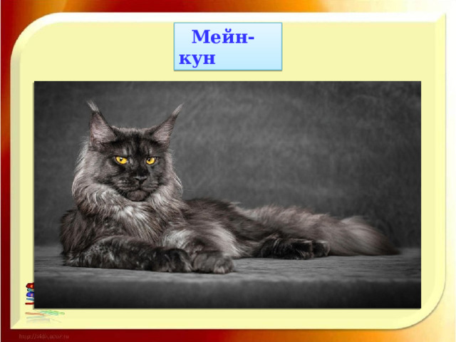  Мейн-кун 