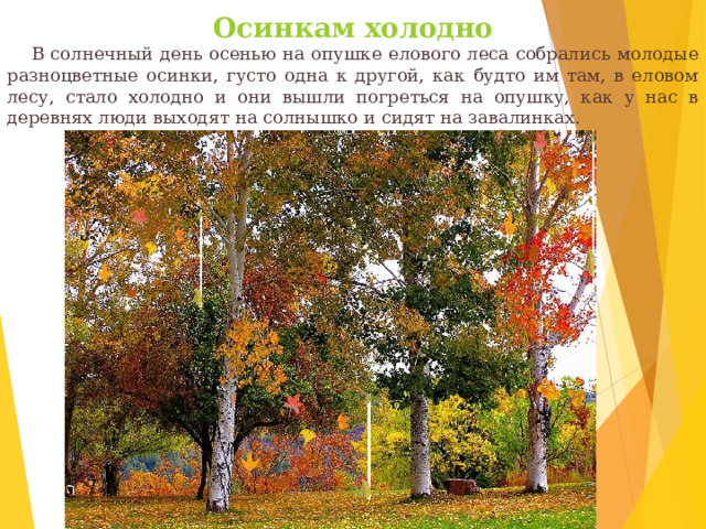 Осинкам холодно     В солнечный день осенью на опушке елового леса собрались молодые разноцветные осинки, густо одна к другой, как будто им там, в еловом лесу, стало холодно и они вышли погреться на опушку, как у нас в деревнях люди выходят на солнышко и сидят на завалинках. 