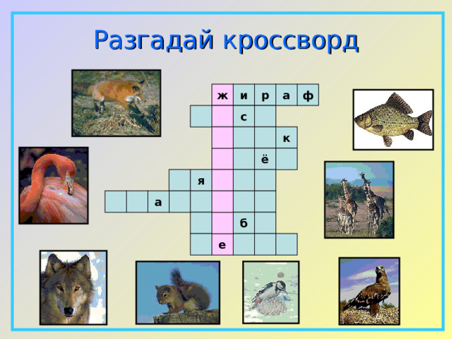 Разгадай  кроссворд ф ж и р а с   к ё   я а    б е  