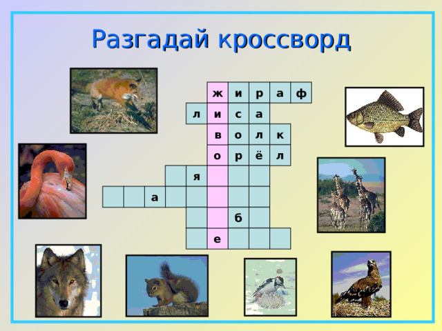 Разгадай  кроссворд ф ж и р а а с л и в о л к р ё л о  я а    б е  